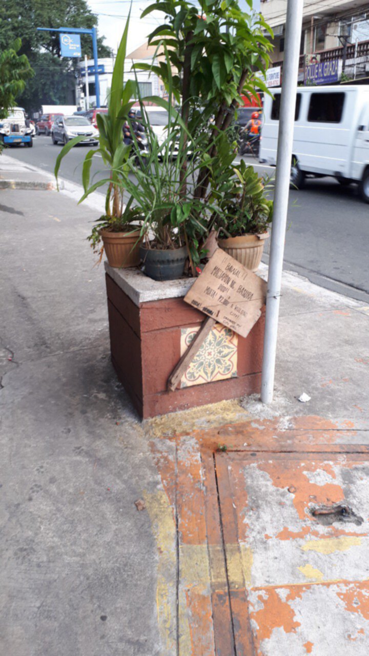 A plantbox on a sidewalk, with small potted plants covering its base
